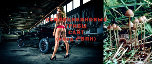 соль ск Абдулино