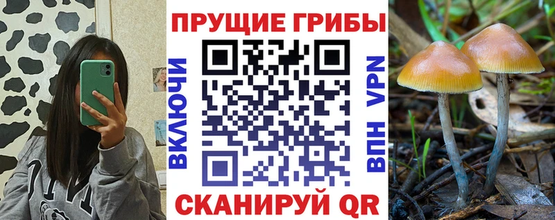 магазин продажи наркотиков Струнино Псилоцибиновые грибы ЛСД